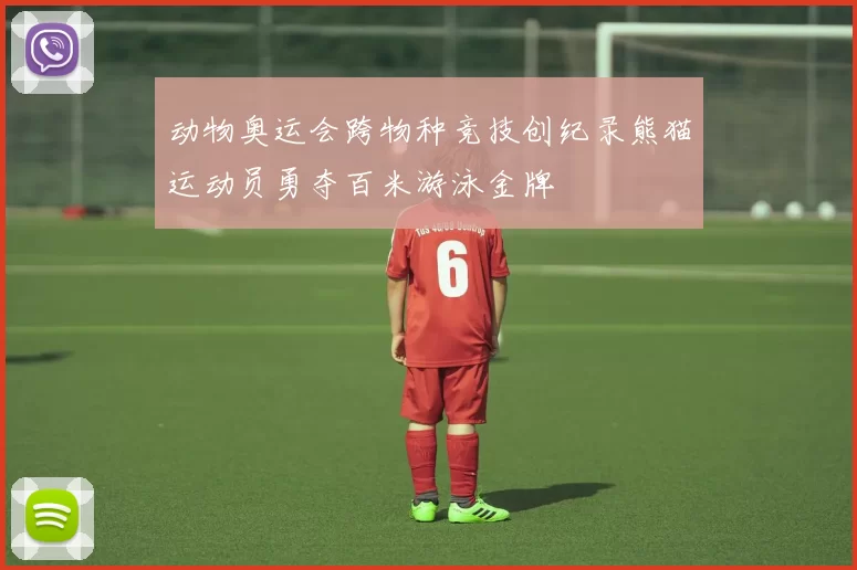 动物奥运会跨物种竞技创纪录熊猫运动员勇夺百米游泳金牌