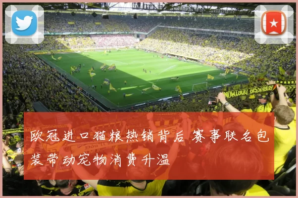 欧冠进口猫粮热销背后 赛事联名包装带动宠物消费升温