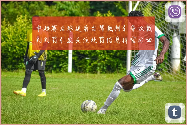 中超赛后球迷看台骂裁判引争议裁判判罚引发关注处罚信息待官方回应