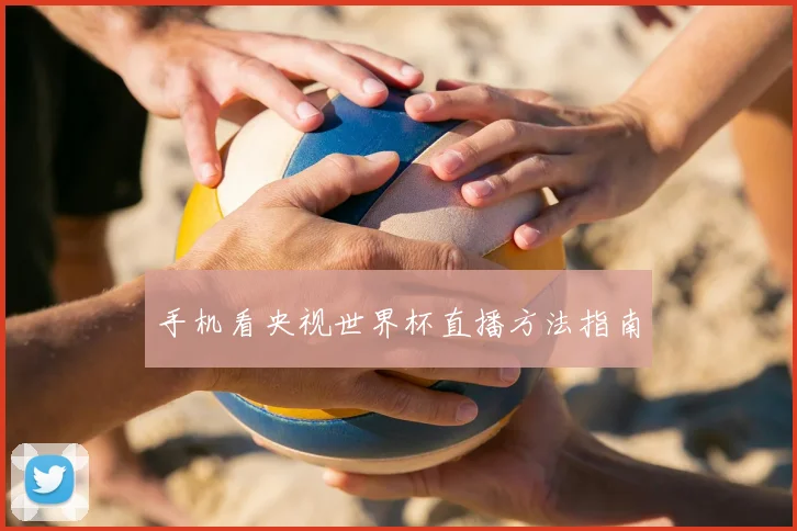 手机看央视世界杯直播方法指南